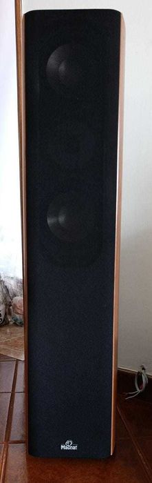 Conjunto colunas Magnat Vintage 320