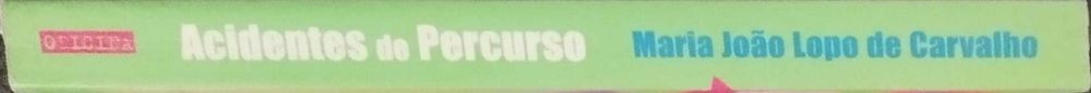 Acidentes de Percurso - Maria João Lopo de Carvalho (Publicado em 2001=