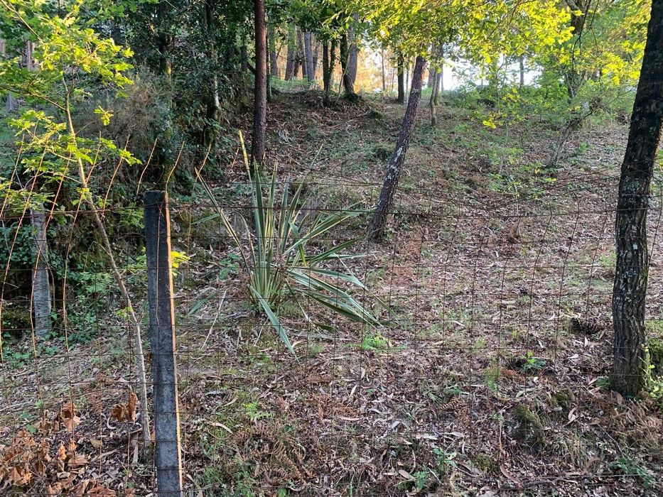 Vende-se terreno perto do Gerês