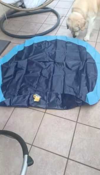 Piscina irrigadora para cães e crianças