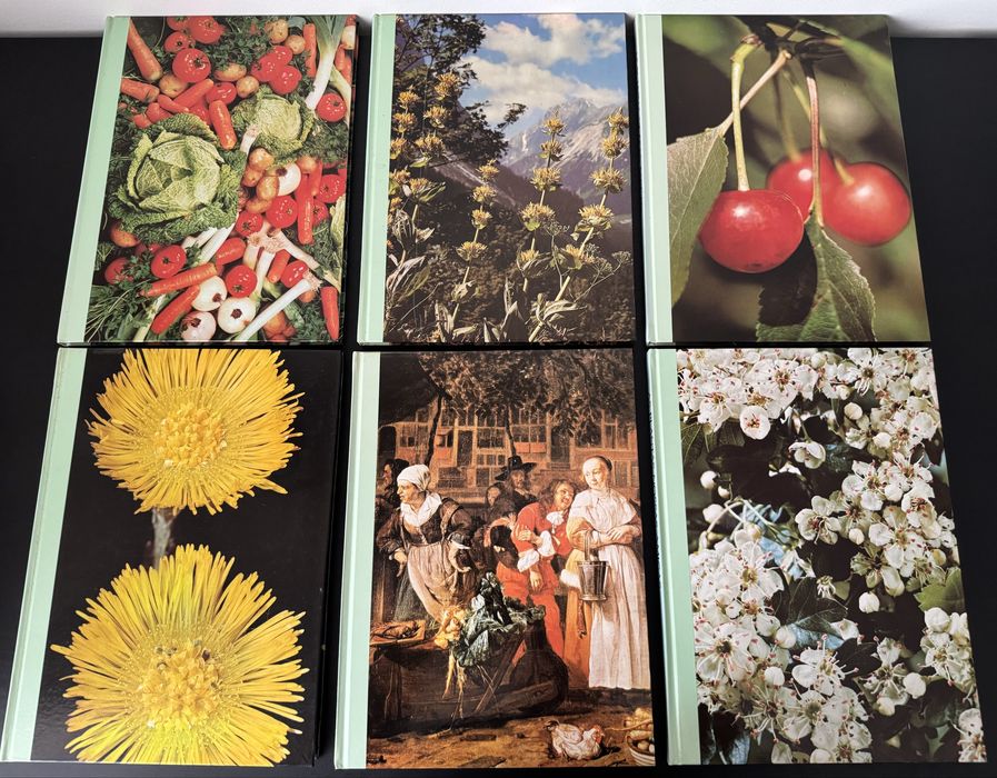 Lote de 6 Livros - As Plantas Nossas Amigas