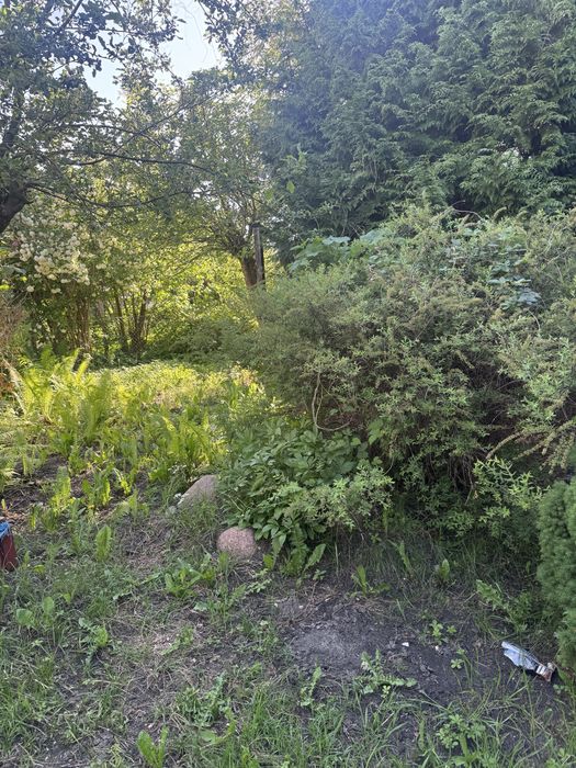 Działka ROD Kolejarz w Bydgoszczy - Widok 3