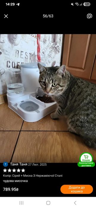 Автоматична годівниця та поїлка для котів і собак  з масками