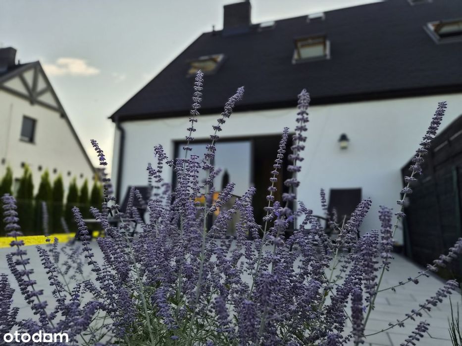 Nowoczesny dom z ogrodem - Rabowice