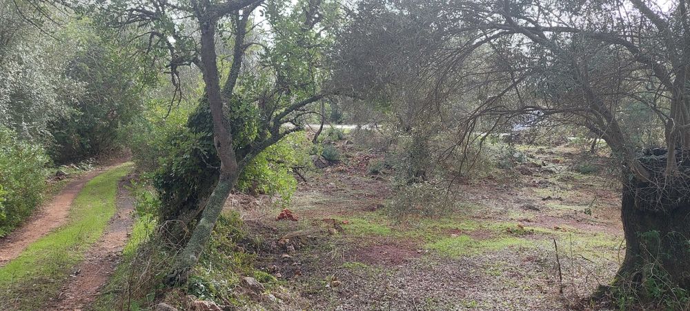 Terreno a 1km de Paderne