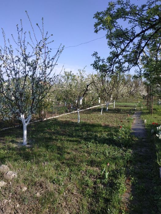 Продам дачу з участком