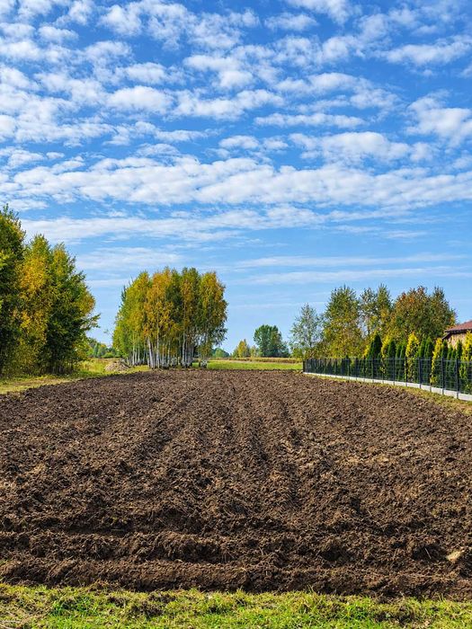 5 działek budowlanych z WZ - Trzeboś - Widok 5