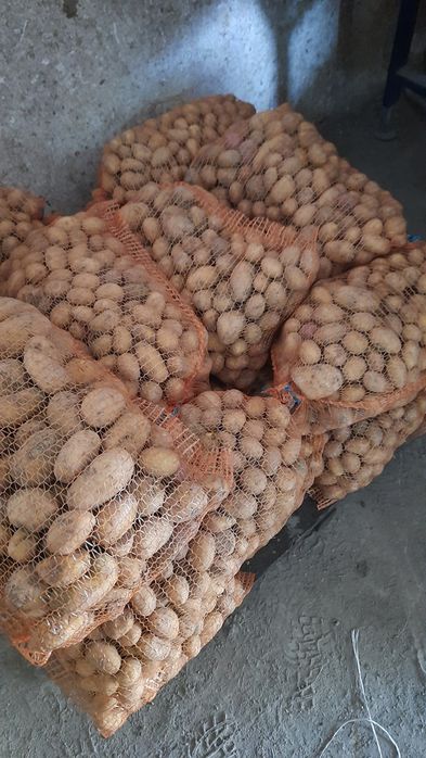 Marchew odpadowa dla zwierząt królików Ziemniaki paszowe odpadowe