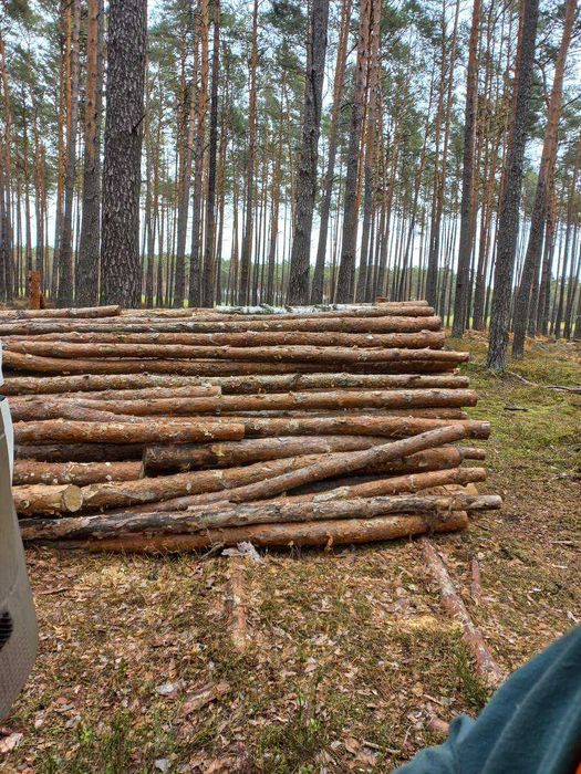 Drewno opałowe i kominkowe