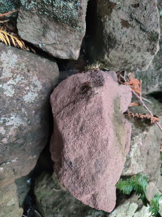 Kamień czerwony piaskowiec