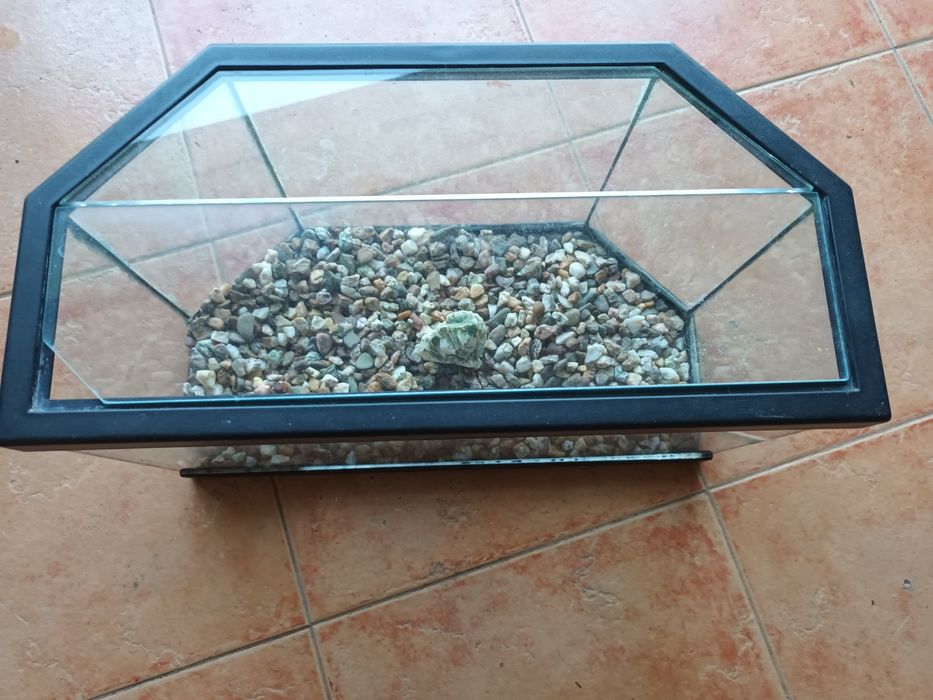 Aquário para peixes ou tartarugas