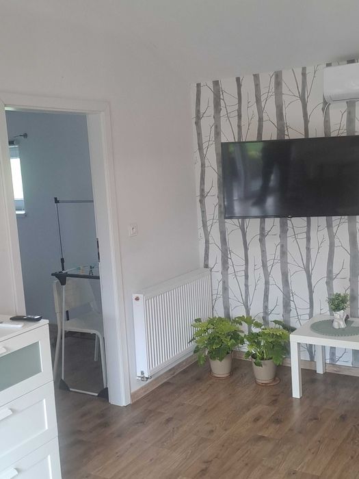 Wynajem apartamentów