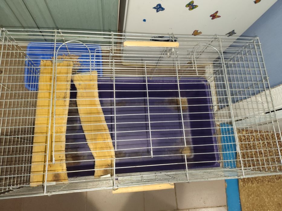 Клітка для шиншили чи кролика. Клетка . Дуже велика клітка.