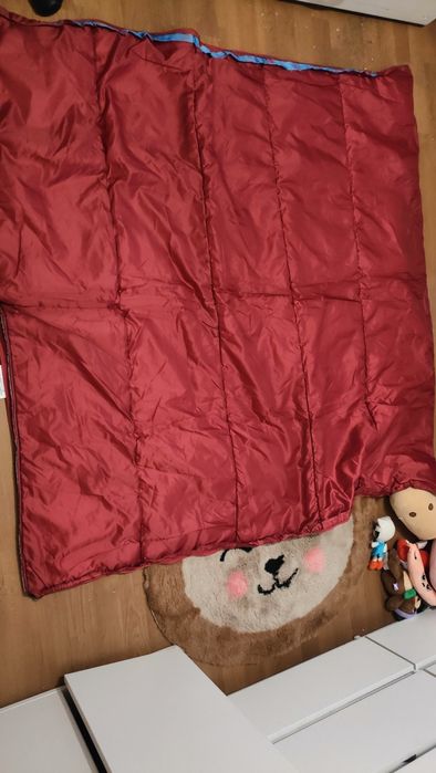 Śpiwór Kraina lodu