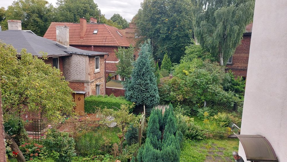 Zdjęcie 5