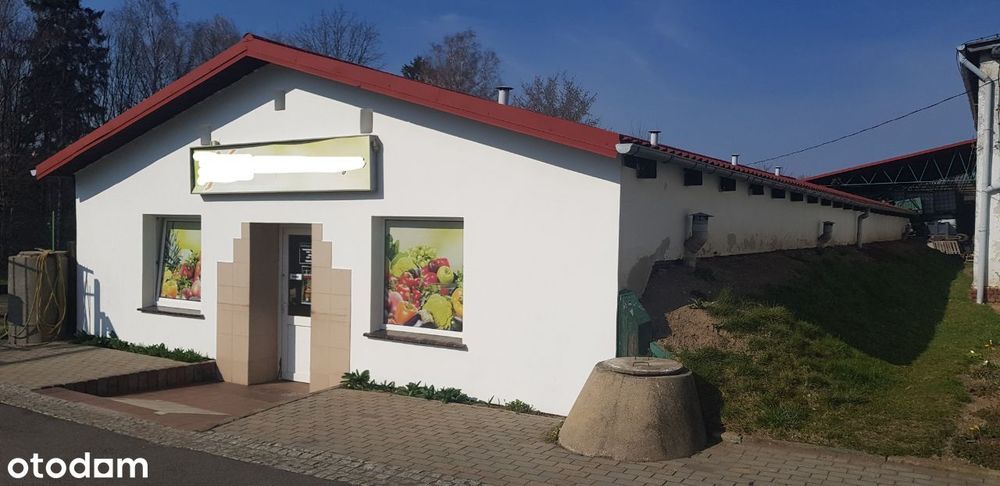 Pomieszczenie magazynowe / Sklep / Obiekt handlowy