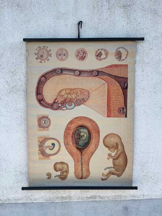 museu da higiene - Alemanha cartaz escolar