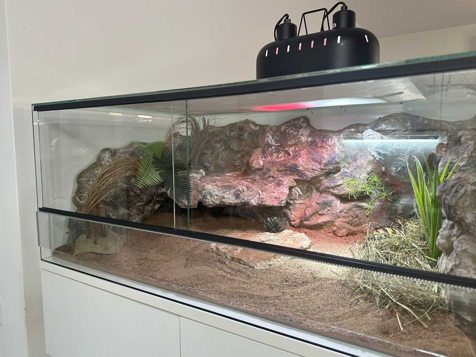 Terrarium ze ścianką\wyposażeniem 85x55x35