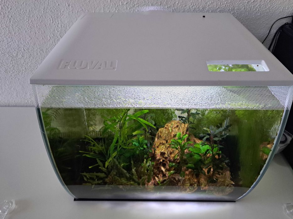 Aquario Fluval Flex 54l