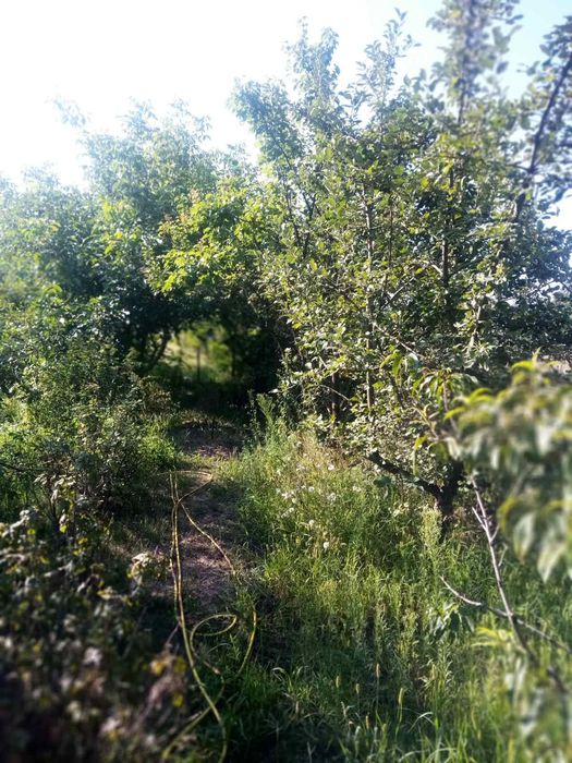 Будиночок в селі Хацьки 20 соток землі приватизованих