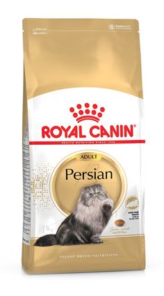 Royal Canin persa