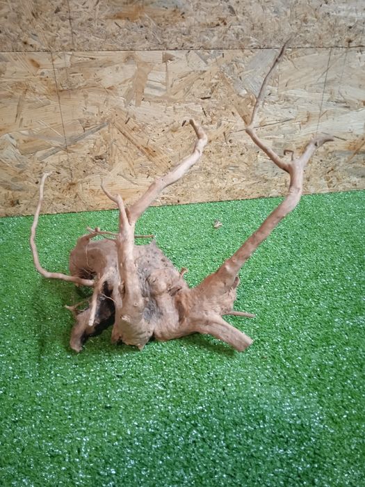 Korzeń do akwarium Red Moore Wood nr 168 o wymiarach 26/30/28