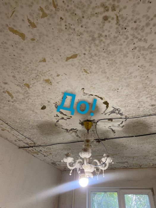 ‼️Видалення плісняви , видалення грибка ! Озонування повітря