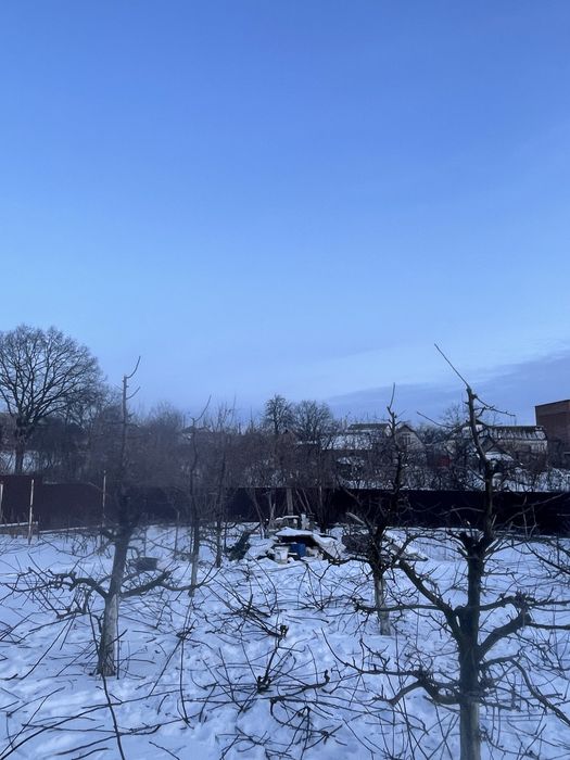 Професійна обрізка плодових дерев