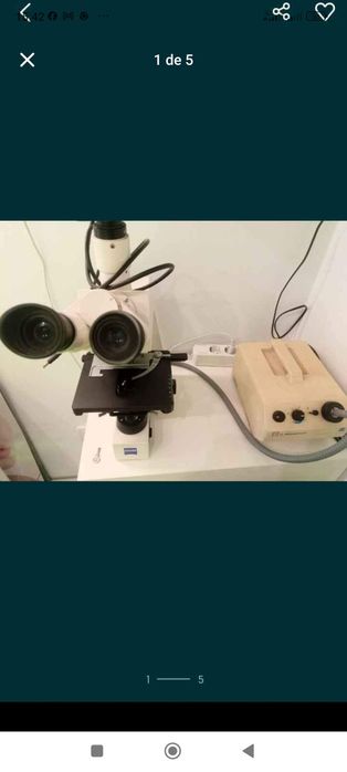 Microscópio de campo escuro zeiss 3 objectivas