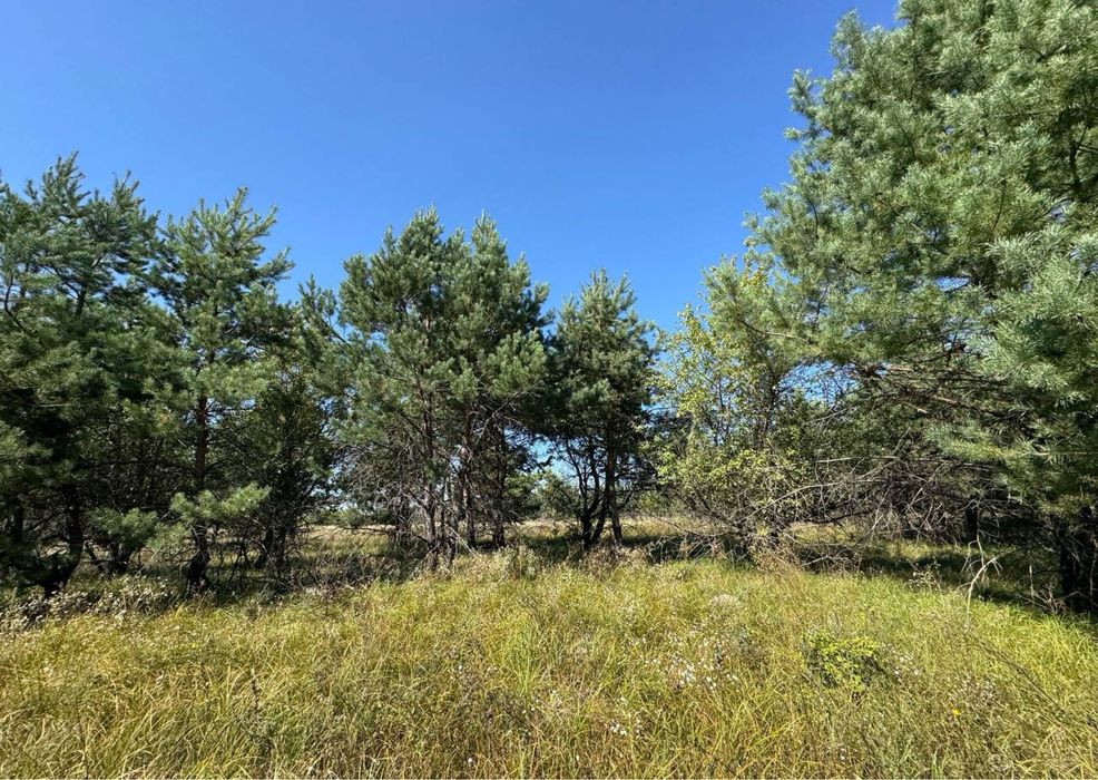 Колонщина! Земельний масив 7 Га!