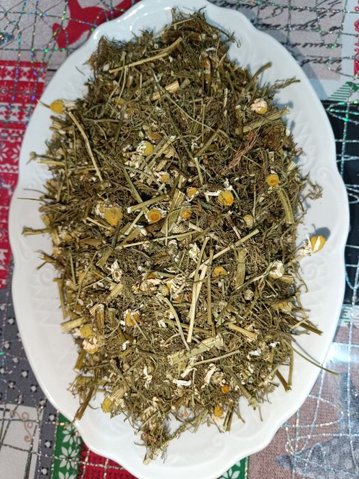 Ромашка лікарська