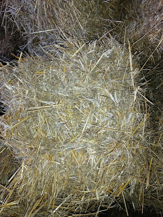 Sprzedam słome,siano,w małych kostkach