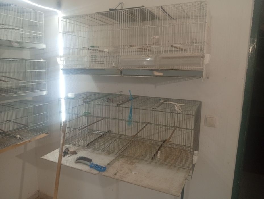 Vendo 12 gaiolas e 2 voadoras