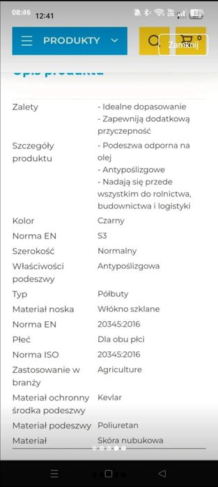 Robocze męskie obuwie