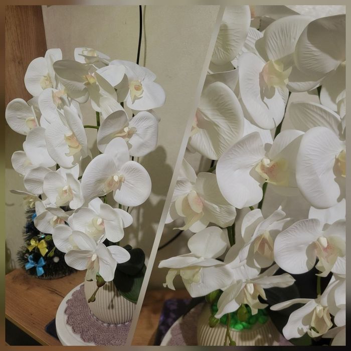 Латекса  орхідеї