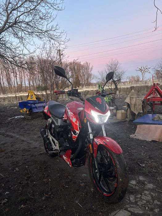 Geon pantera 200 2023