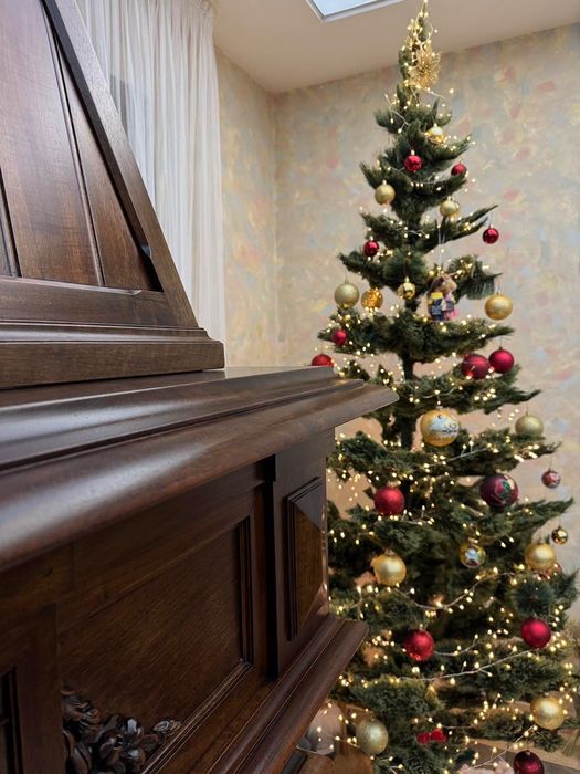 Деревʼяний Камінний портал