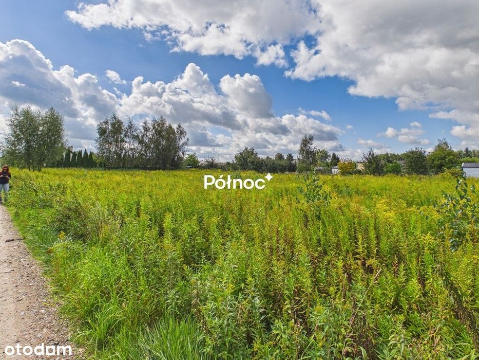 Działka 1 300 M² | Wz | Lipno | Media