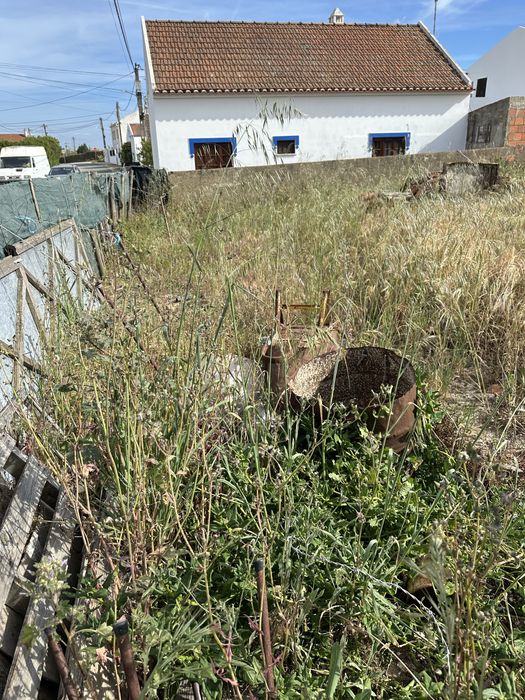 Limpeza terreno e manutenção