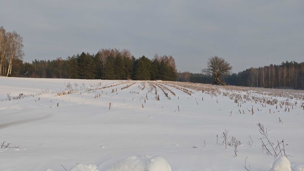 Działka rolna z warunkami zabudowy, Mazury
