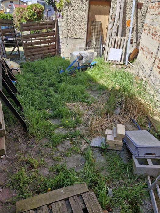 Trylinka kostka oddam