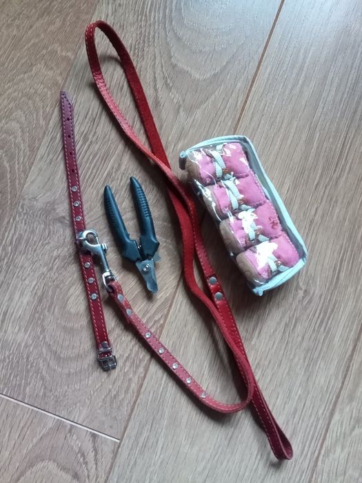 Набор для собачки маленькой породы