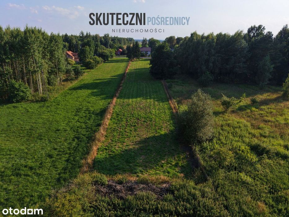 Swędów | 5934 m² | gm. Stryków