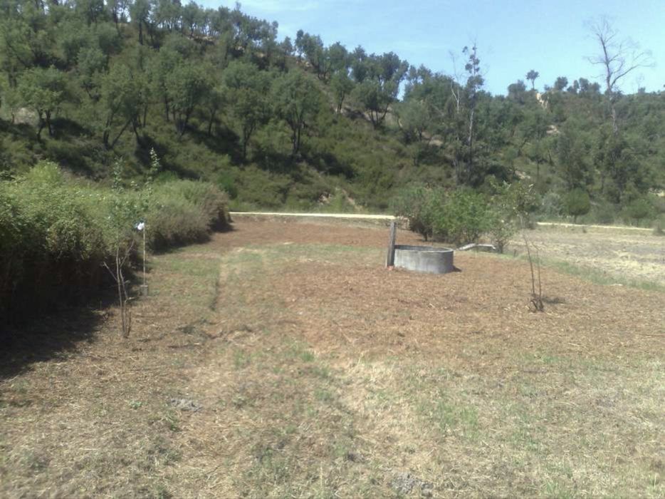 Vendo Casa Devoluta e terrerno 2750m2