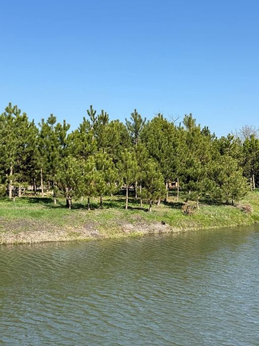 Оренда альтанки 25 км від Харкова