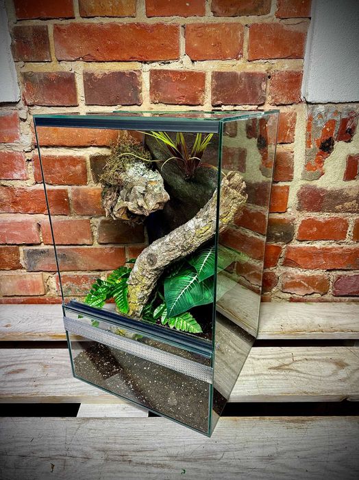 Terrarium szklane z leśnym wystrojem 30x30x50 cm. AlleTerra