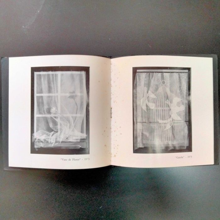 Ana Vieira - Galeria Judite da Cruz