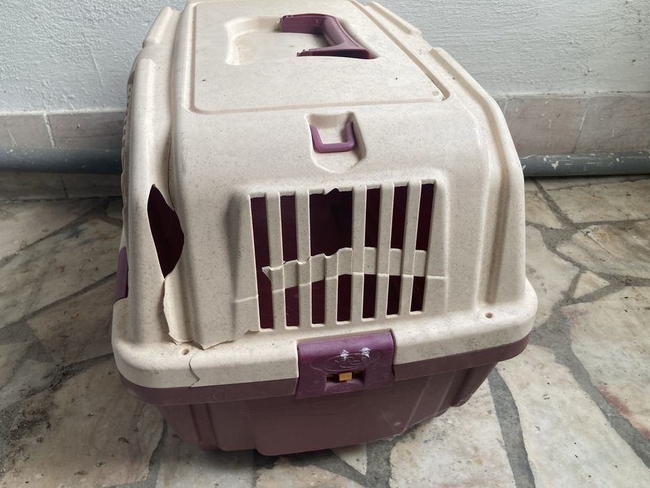 Caixa transporte gato