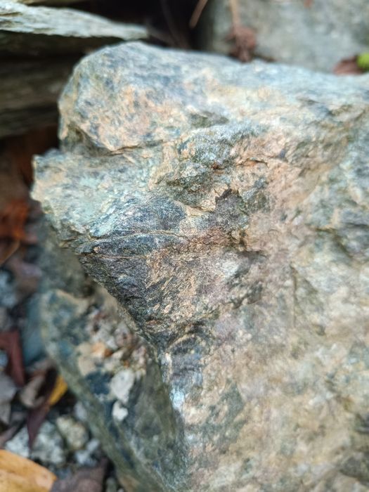 Kamień do terrarium akwarium