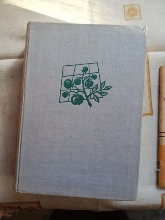 Produkcja warzyw w szklarnia h i inspektach